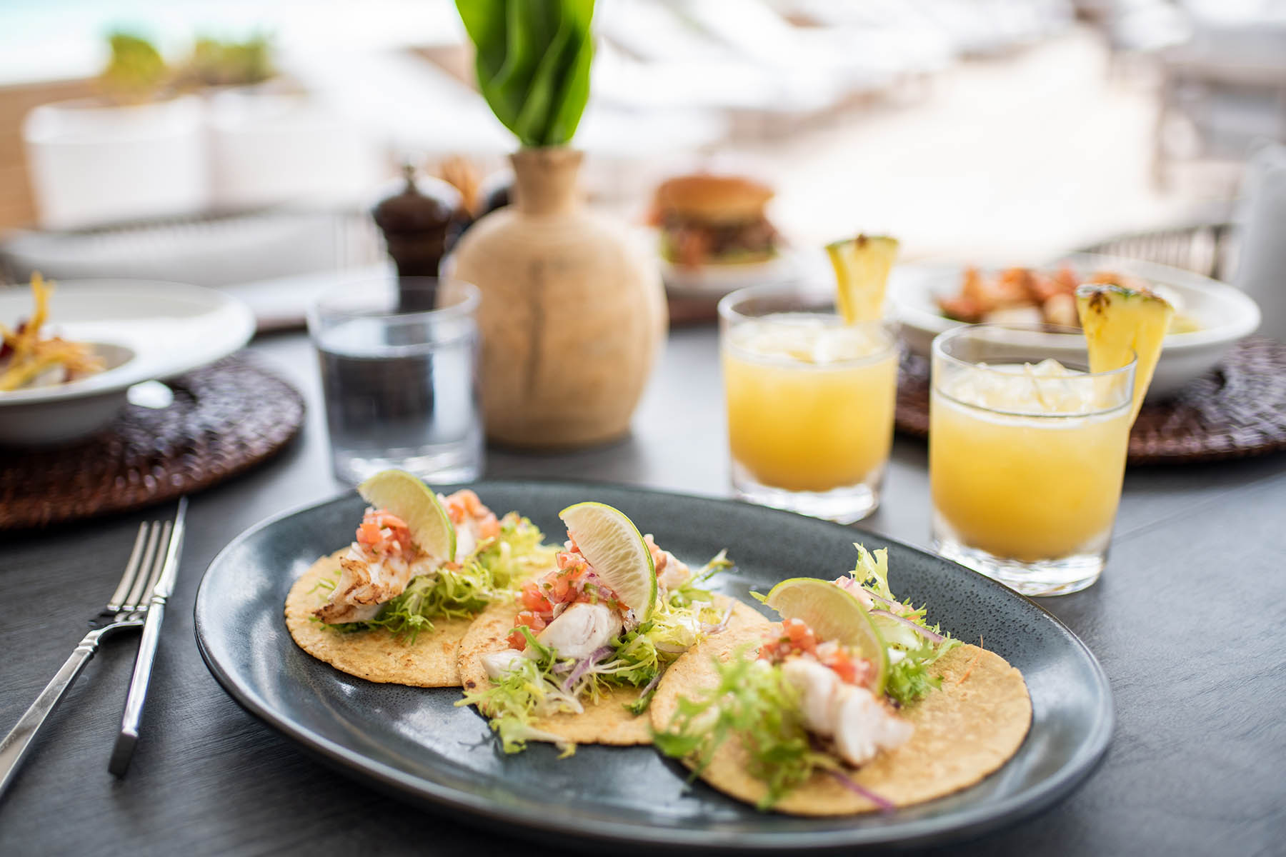 driffs-3 South Andros Fine Dining