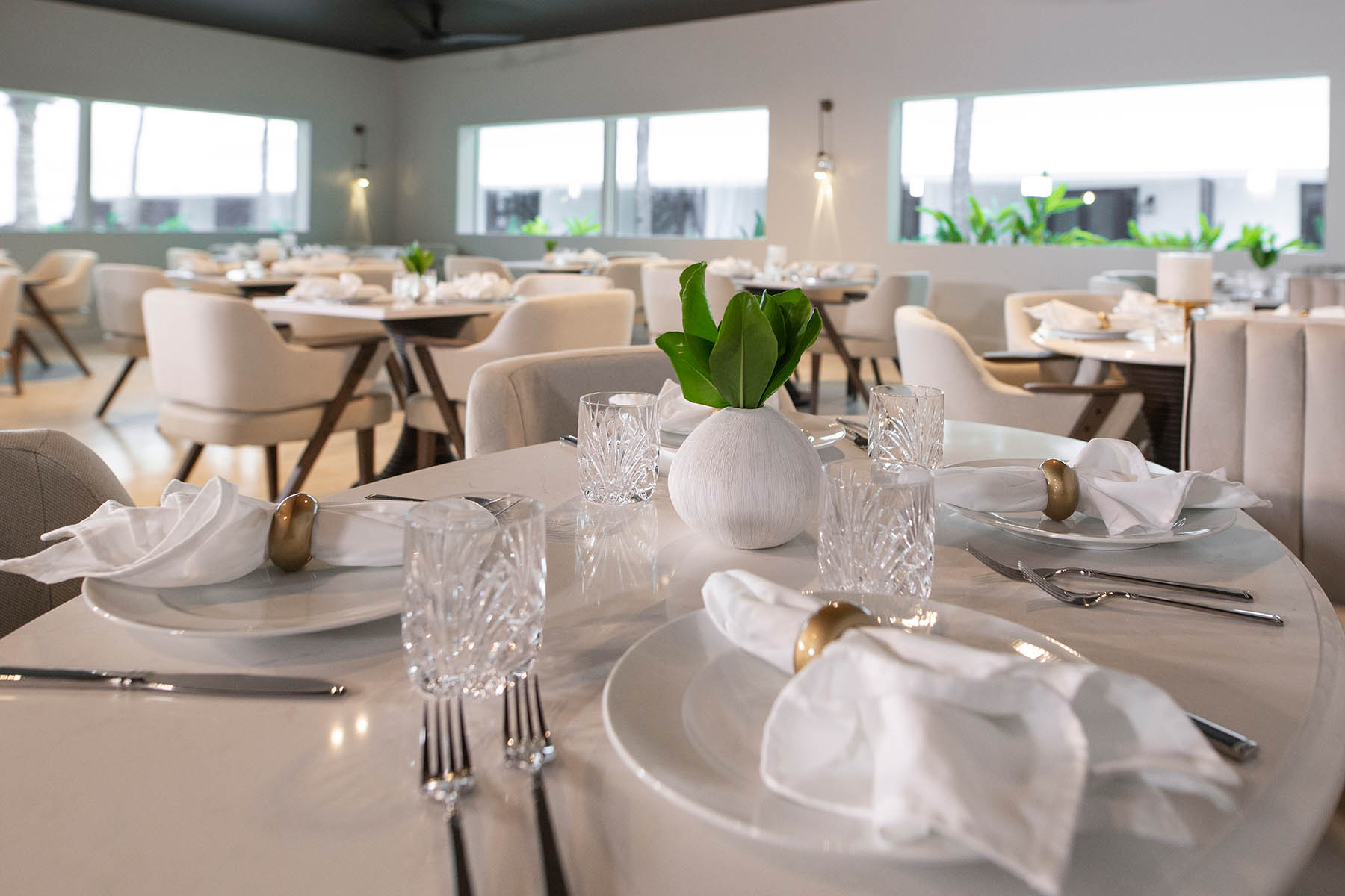 lusca-9 South Andros Fine Dining