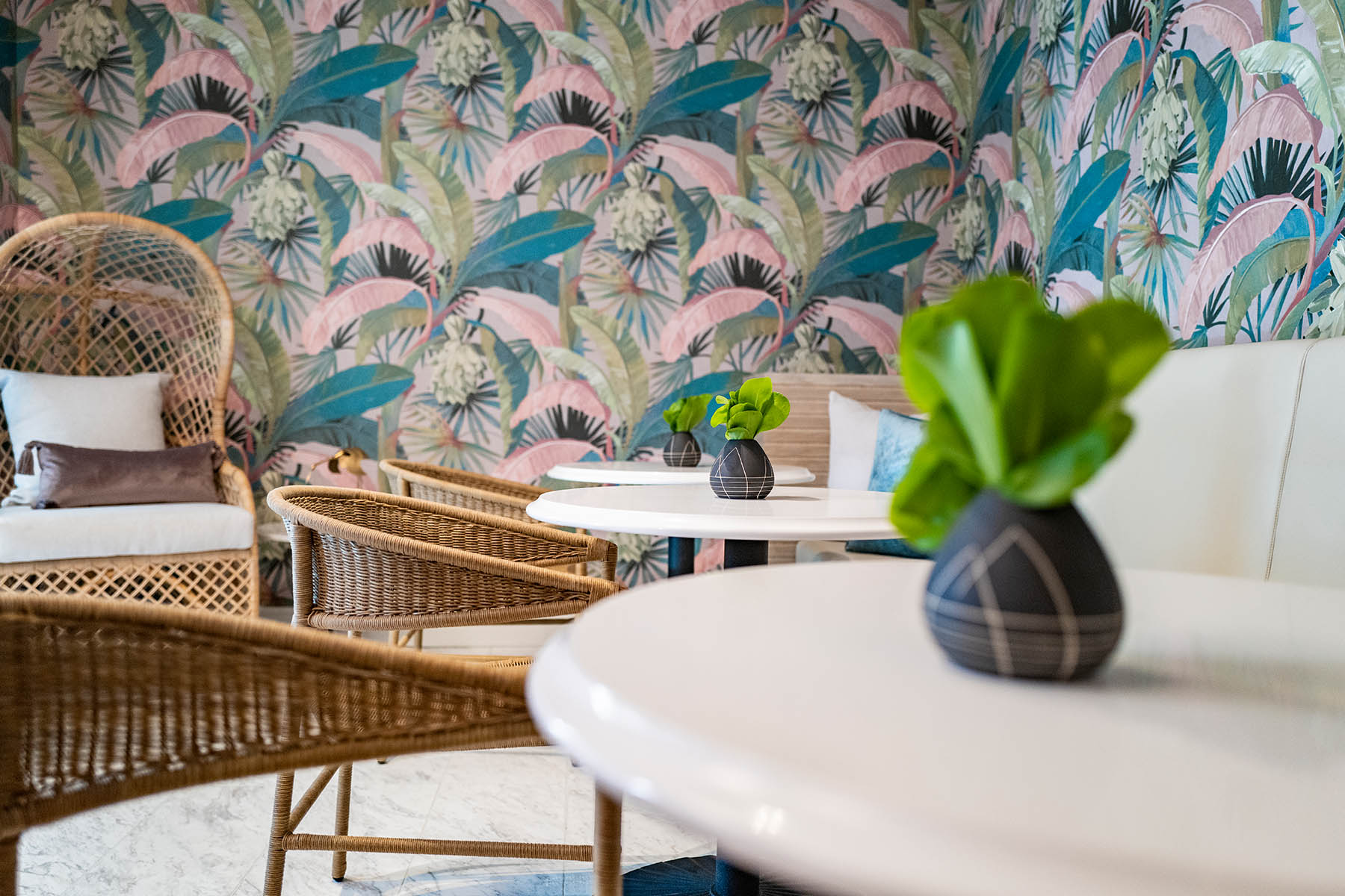 switcha-1 South Andros Fine Dining