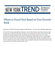 New-York-Trend-1 New York Trend Article