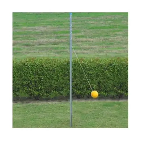 Outdoor Tetherball System